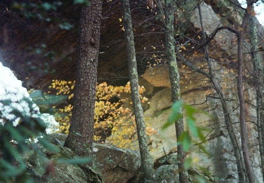 Red River Gorge in Fall